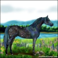 Horse Color:ERROR: UNKNOWN ANOMALY and ERROR: UNKNOWN ANOMALY