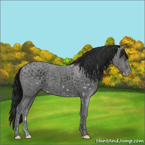 Horse Color:ERROR: UNKNOWN ANOMALY
