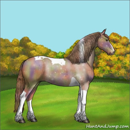 Horse Color:Nacre Chestnut Sabino Tobiano Rabicano 