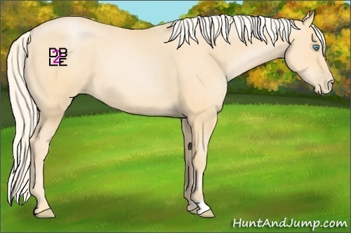 Horse Color:Palomino Pearl