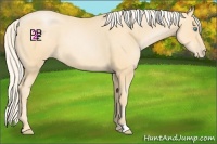 Horse Color:Palomino Pearl 