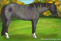 Horse Color:Midnight Smoky Blue Onyx Ice Roan 
