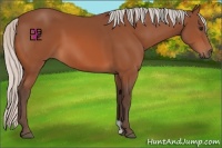 Horse Color:Silver Bay 