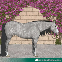Horse Color:Grullo Ice Rabicano 