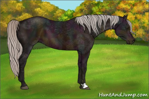 Horse Color:Midnight Silver Brown Ice 