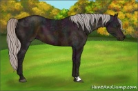 Horse Color:Midnight Silver Brown Ice 