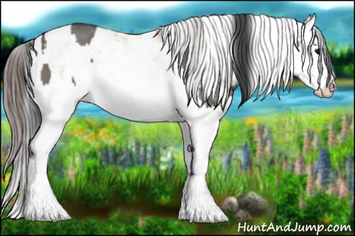 Horse Color:Grullo Sabino Splash  and Classic Champagne Dun Sabino Splash 