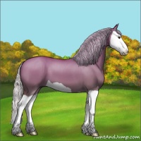 Horse Color:Silver Buckskin Dun Splash 