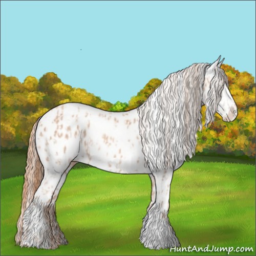Horse Color:Gold Champagne Appaloosa  and Gold Champagne Appaloosa 