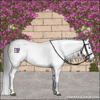 Horse Color:Gray Bay Splash Varnish 