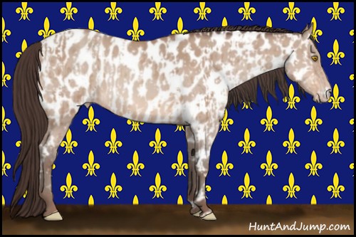 Horse Color:Amber Champagne Appaloosa  and Amber Champagne Appaloosa 