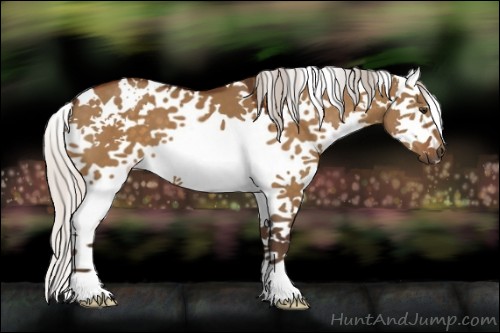 Horse Color:White Spotted Silver Buckskin Dun Splash 