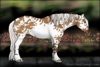 Horse Color:White Spotted Silver Buckskin Dun Splash 