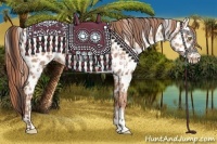 Horse Color:Sable Champagne Near Leopard  and Gold Champagne Near Leopard 