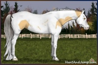 Horse Color:Buckskin Dun Splash Tobiano