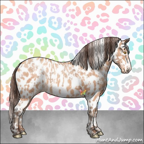 Horse Color:Amber Champagne Appaloosa and Amber Champagne Appaloosa