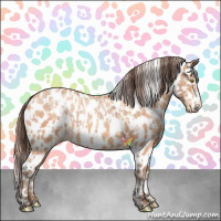 Horse Color:Amber Champagne Appaloosa  and Amber Champagne Appaloosa 