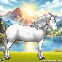 Horse Color:White Spotted Silver Grullo Appaloosa 