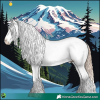 Horse Color:Gold Champagne Appaloosa 