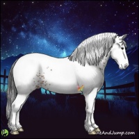 Horse Color:White Spotted Brown 