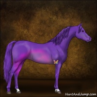 Horse Color:Watercolor Brown 