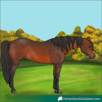 Horse Color:Brown 
