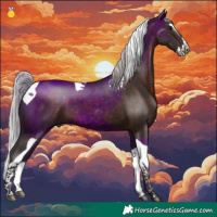 Horse Color:Silver Brown Splash Tobiano