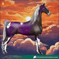 Horse Color:Silver Brown Splash Tobiano 