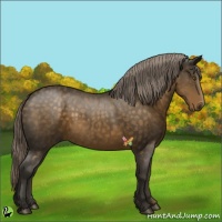 Horse Color:Chocolate Palomino 