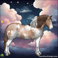Horse Color:White Spotted Brown Pearl 