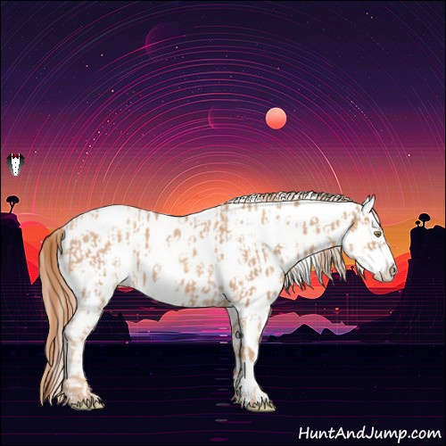 Horse Color:Gold Champagne Appaloosa  and Gold Champagne Appaloosa 