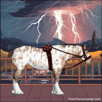 Horse Color:Amber Champagne Near Leopard and Amber Champagne Frame Near Leopard