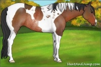 Horse Color:Brown Tobiano Rabicano