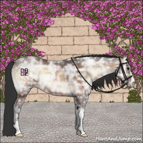 Horse Color:Brown Ice Onyx 