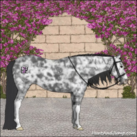 Horse Color:Black Ice 