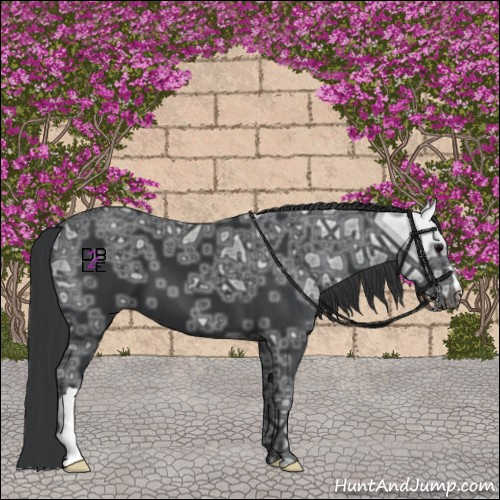 Horse Color:Black Ice