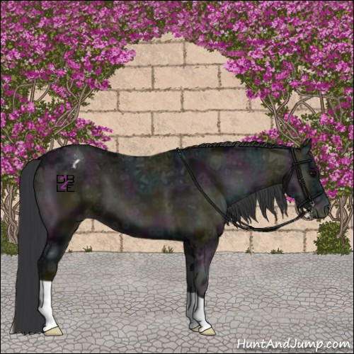 Horse Color:Midnight Blue Onyx Ice Varnish