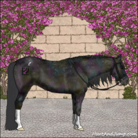 Horse Color:Midnight Blue Onyx Ice Appaloosa