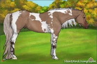 Horse Color:Silver Brown Dun Tobiano 