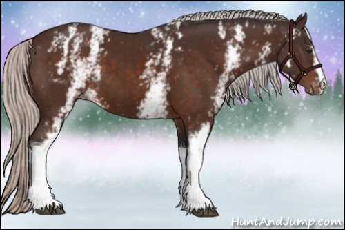 Horse Color:White Spotted Silver Brown Appaloosa