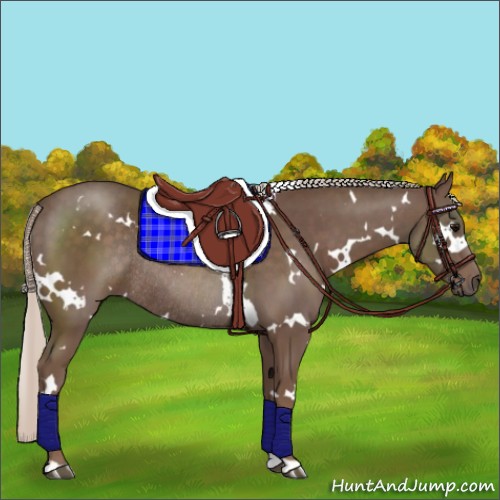 Horse Color:White Spotted Silver Black Rabicano 