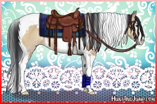 Horse Color:White Spotted Brown Dun Splash Tobiano Rabicano 