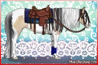 Horse Color:White Spotted Brown Dun Splash Tobiano Rabicano