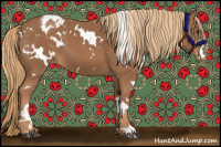 Horse Color:White Spotted Chestnut Blanket 