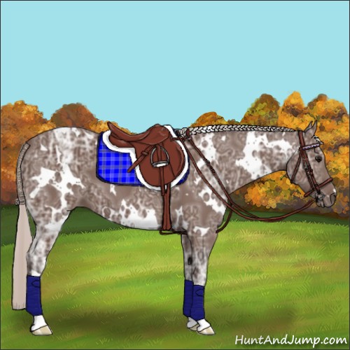 Horse Color:White Spotted Silver Black Ice