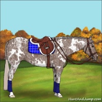 Horse Color:White Spotted Silver Black Ice 