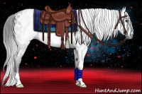 Horse Color:Gray White Spotted Black 