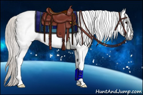 Horse Color:Gray Silver Black Splash Rabicano 