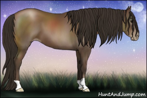 Horse Color:Gray Black Pearl 