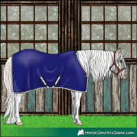 Horse Color:White Spotted Silver Black Ice Tobiano Appaloosa 